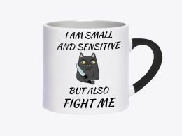 فنجان-small and sensitive cat-فان
