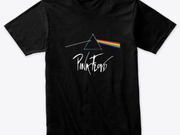 -Pink Floyd-موسیقی